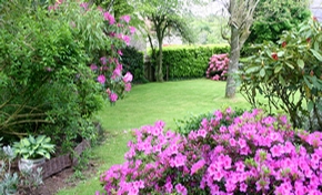 Image jardin